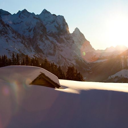 Victoria - Alpine Boutique Hotel & Fine Dining Meiringen Kültér fotó