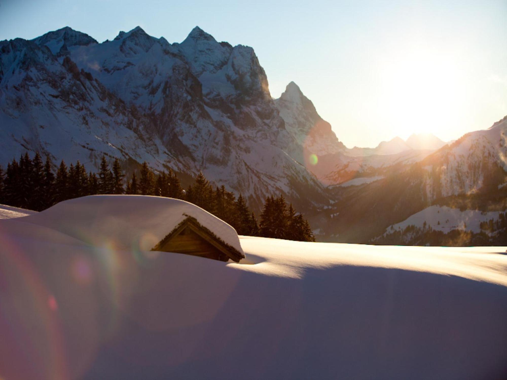 Victoria - Alpine Boutique Hotel & Fine Dining Meiringen Kültér fotó