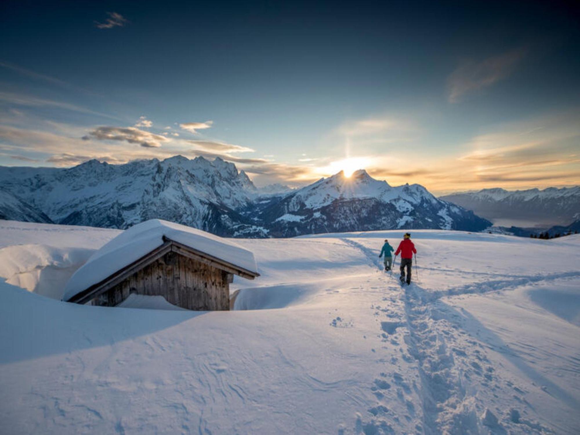 Victoria - Alpine Boutique Hotel & Fine Dining Meiringen Kültér fotó